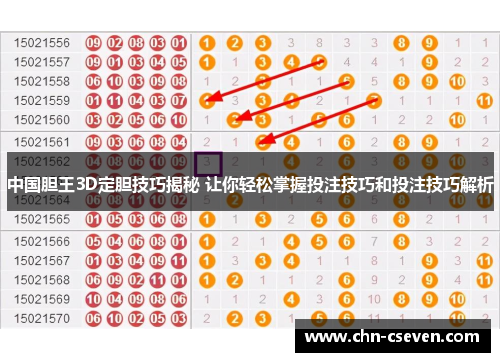 中国胆王3D定胆技巧揭秘 让你轻松掌握投注技巧和投注技巧解析